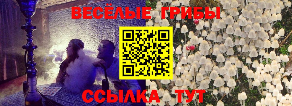 Псилоцибиновые грибы MAGIC MUSHROOMS  Вход с VPN  Сатка 