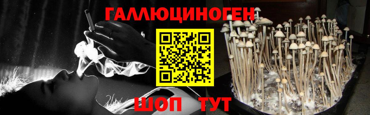 Псилоцибиновые грибы ЛСД Сатка